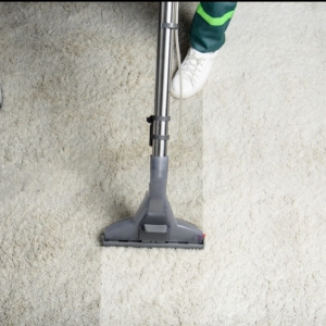 carpet-cleaning-846x565(1).jpeg