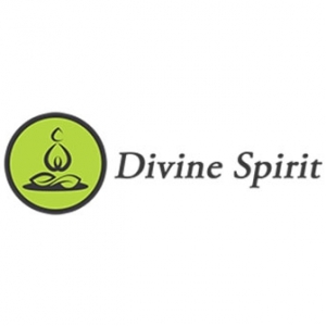 Divine Spirit Shop